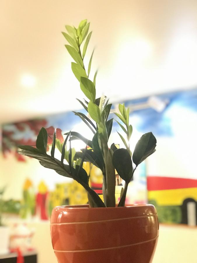 The Lily Hostel & Coffee Ho Chi Minh Zewnętrze zdjęcie